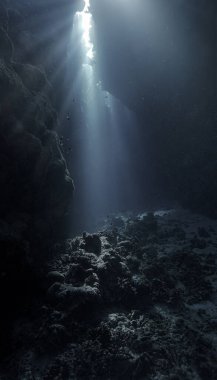 Sihirli güneş ışığı ve mağaranın içindeki kutsal kasenin sualtı fotoğrafı.