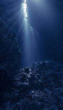 Sihirli güneş ışığı ve mağaranın içindeki kutsal kasenin sualtı fotoğrafı.