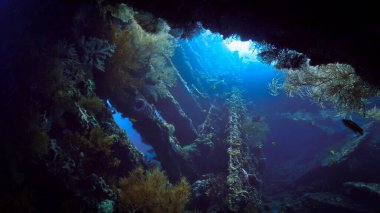 Tulamben, Bali, Endonezya 'daki gemi enkazı USS Liberty' nin ürkütücü sualtı fotoğrafı..