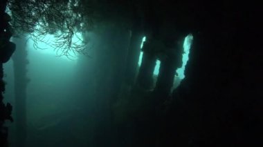 İkinci Dünya Savaşı 'ndan kalma ürkütücü USS Özgürlük gemisi enkazının su altı videosu. Bali sahilindeki bir tüplü dalıştan.