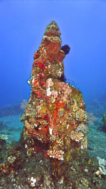 Bali 'deki bir mercan resifindeki hindu heykelinin sualtı fotoğrafı. Endonezya 'da. Asya. Atlantis kayıp şehir..