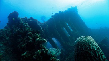 İkinci Dünya Savaşı 'ndan kalma ürkütücü USS Özgürlük gemisinin sualtı fotoğrafçılığı. Bali açıklarındaki bir tüplü dalıştan. Endonezya 'da. Asya.