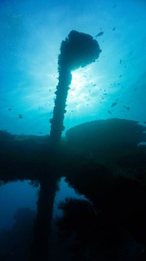 Mavi güneş ışığında bir direğin silueti. İkinci Dünya Savaşı 'ndan kalma USS Özgürlük Gemisi enkazının sualtı fotoğrafı. Bali, Endonezya, Asya 'daki bir dalıştan.. 