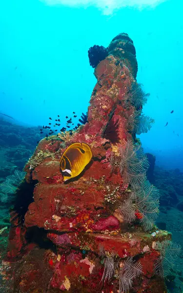 stock image Underwater photo of a hindu temple in rays of light at a coral reef in Bali. Indonesia. Atlantis the lost city.