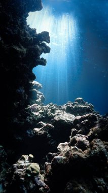 Mağaradaki güneş ışınlarının sualtı fotoğrafı. Tüplü dalıştan.