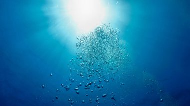 Hava kabarcıklarının su altında güneş ışığı ışınlarıyla yüzeye çıkışının sualtı fotoğrafı. Derin mavi okyanusta tüplü dalıştan.