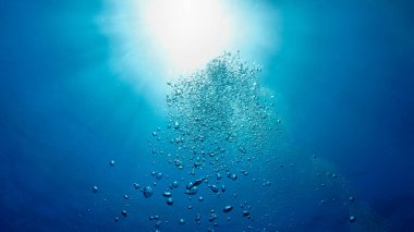 Hava kabarcıklarının su altında güneş ışığı ışınlarıyla yüzeye çıkışının sualtı fotoğrafı. Derin mavi okyanusta tüplü dalıştan.