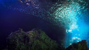Rüya gibi ve ruhani bir ortamın sualtı fotoğrafı. Tayland 'daki mağara tüplü dalıştan.