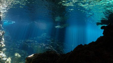 Underwater photo of a dreamlike and etheral environment. From cave scuba dive in rays of sunlight in Thailand. clipart