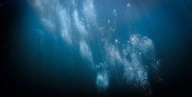 Rüya gibi su altı dünyası, evren ve galaksi. Derin mavi okyanusun sualtı fotoğrafı..