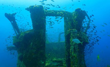 Birleşik Devletler 'in batık gemisi HTMS Prab Wreck' te sualtı fotoğrafı. Tayland 'daki bir dalıştan..