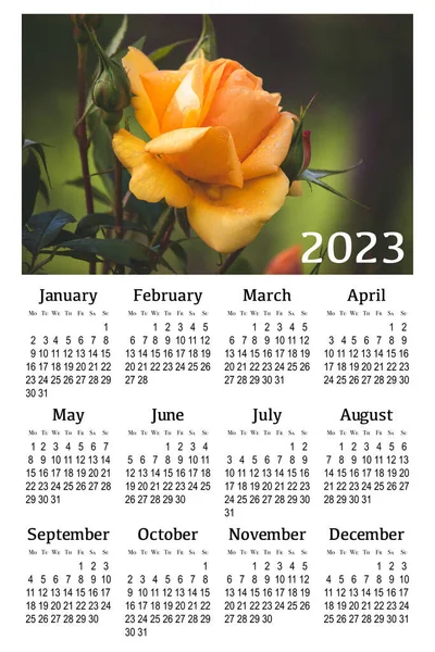 Βοτανικό Ημερολόγιο Για 2023 Ημερολόγιο Κατακόρυφων Τοίχων Εβδομάδα Ξεκινά Δευτέρα — Φωτογραφία Αρχείου