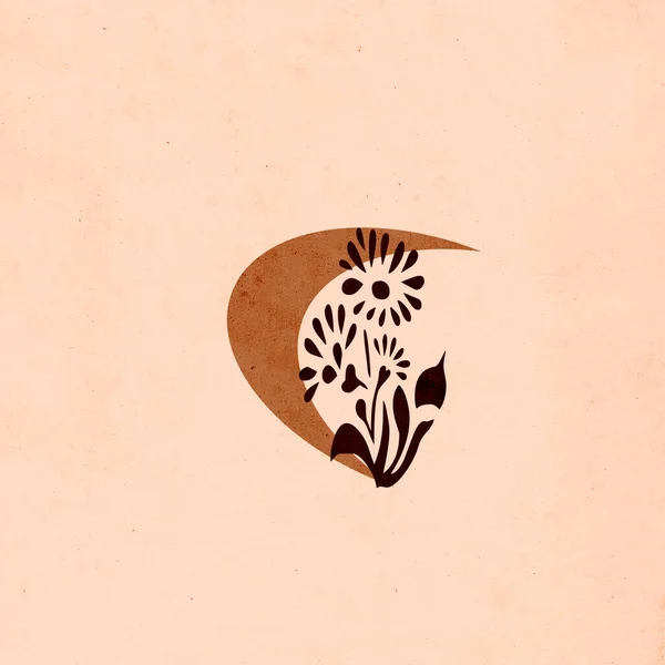 Ілюстрація Старовинному Старовинному Гранжевому Стилі Дизайн Обкладинки Шпалер Ботанічна Формула — стокове фото