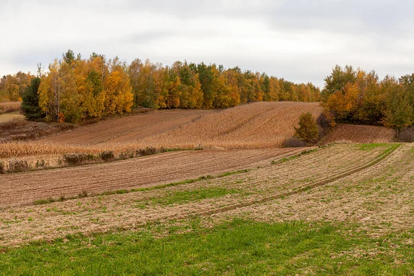 Beautiful Landscape Countryside Sunny October Day Poland — Stock Photo, Image