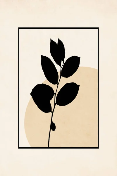 Печатная Модная Ботаническая Карта Используйте Обложки Обоев Настенного Искусства Винтажный — стоковое фото