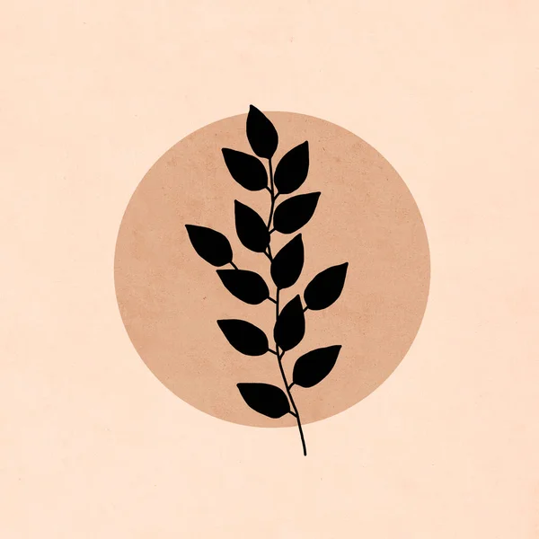 可打印的流行植物学卡片 用于封面 墙面艺术 — 图库照片