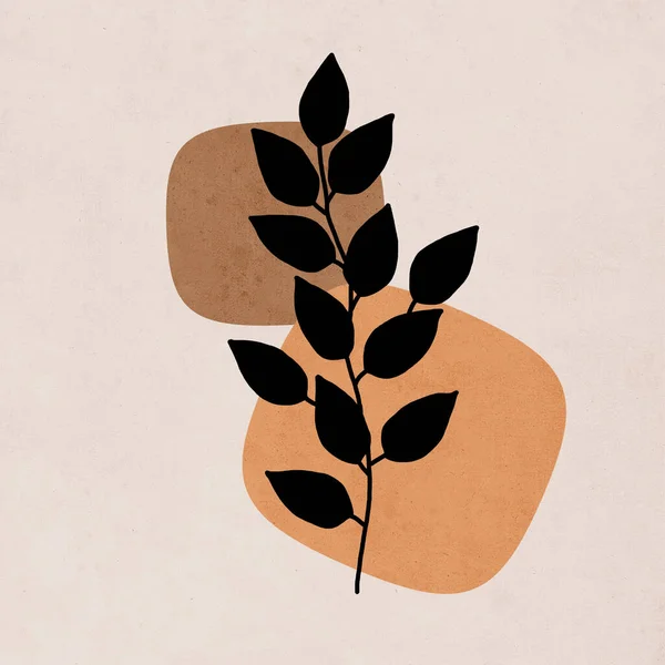 Basılabilir Moda Botanik Kartı Örtü Duvar Kâğıdı Duvar Sanatı Kahverengi — Stok fotoğraf