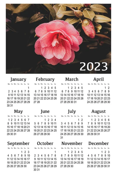 Botanische Kalender Voor 2023 Verticale Wandkalender Week Begint Maandag — Stockfoto