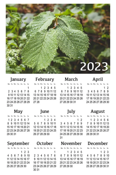 Botanikai Naptár 2023 Függőleges Falinaptár Hét Hétfőn Kezdődik — Stock Fotó
