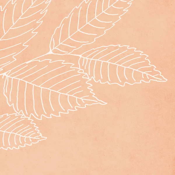 Drukowana Modna Karta Botaniczna Użyj Przykrycia Tapety Sztuki Ściennej Brązowy — Zdjęcie stockowe