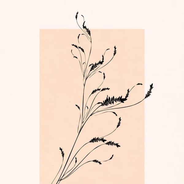 Cartelă Botanică Modă Tipărită Utilizați Pentru Acoperire Tapet Artă Perete — Fotografie, imagine de stoc