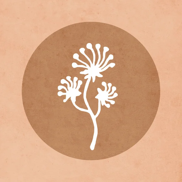Printable Trendy Botanical Card Use Cover Wallpaper Wall Art Brown — Stock Photo, Image