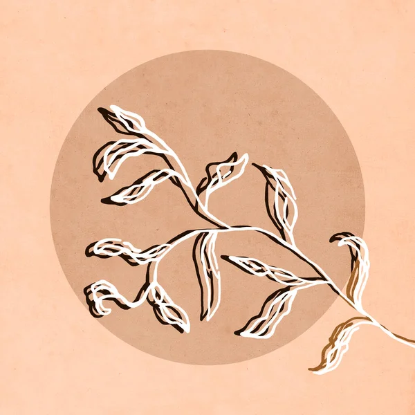 Bedruckbare Trendige Botanische Karte Verwendung Für Einband Tapete Wandkunst Braune — Stockfoto