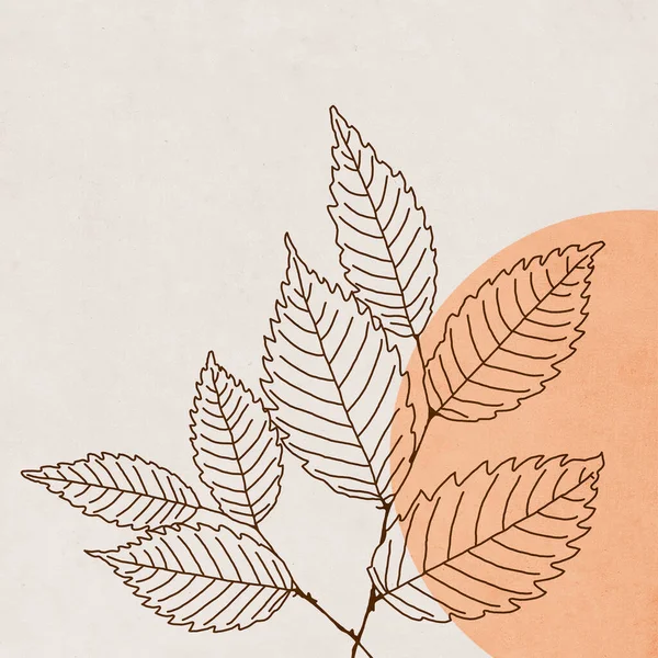 식물학 예술을 사용하 갈색이다 — 스톡 사진