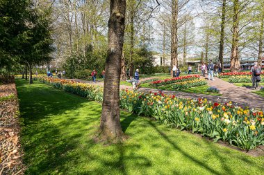 14 Nisan 2022 Lisse, Hollanda. Bahar çiçeklerinin açtığı güzel bir halk bahçesi. Popüler turizm sitesi.