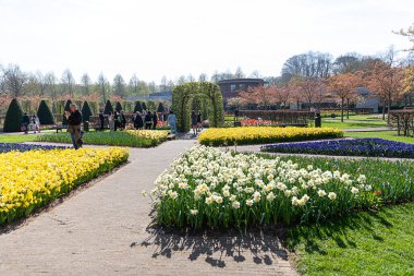 14 Nisan 2022 Lisse, Hollanda. Bahar çiçeklerinin açtığı güzel bir halk bahçesi. Popüler turizm sitesi.