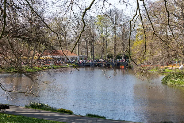 2022年4月14日 オランダのリス 春の花が咲く美しい公園 人気の観光地 — ストック写真