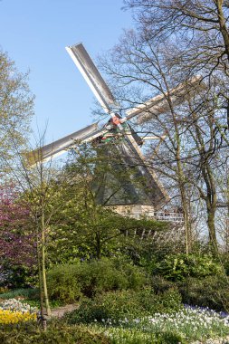 14 Nisan 2022 Lisse, Hollanda. Bahar çiçeklerinin açtığı güzel bir halk bahçesi. Popüler turizm sitesi.