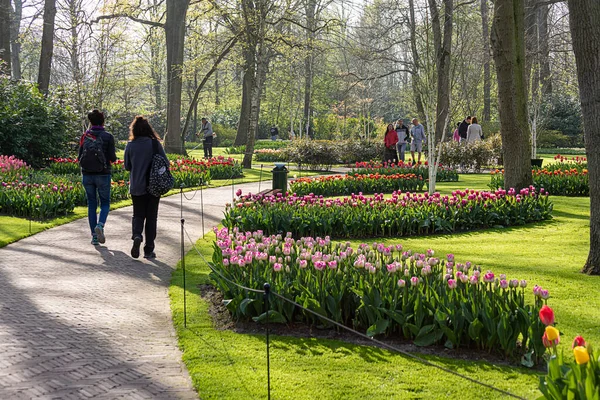 stock image April 14, 2022 Lisse, The Netherlands. Beautiful public garden with blooming spring flowers. Popular tourist site.