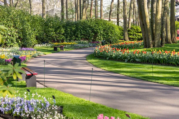 2022年4月14日 荷兰利塞 美丽的公共花园 春花盛开 热门旅游景点 — 图库照片