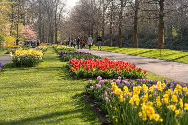 14 Nisan 2022 Lisse, Hollanda. Bahar çiçekleri açan güzel bir halk bahçesi. Popüler turizm sitesi.