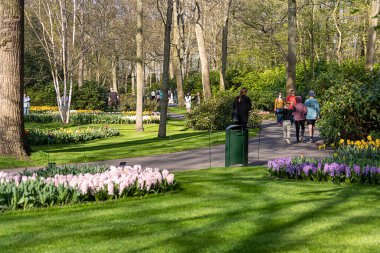14 Nisan 2022 Lisse, Hollanda. Bahar çiçekleri açan güzel bir halk bahçesi. Popüler turizm sitesi.