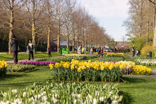 stock image April 14, 2022 Lisse, The Netherlands. Beautiful public garden with blooming spring flowers. Popular tourist site.