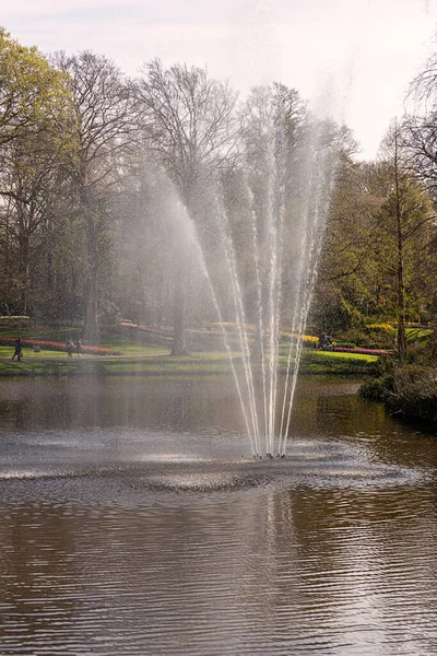 April 2022 Lisse Netherlands Beautiful Public Garden Blooming Spring Flowers — Stock Photo, Image