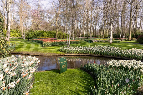 Dubna 2022 Lisse Nizozemsko Krásná Veřejná Zahrada Kvetoucími Jarními Květy — Stock fotografie