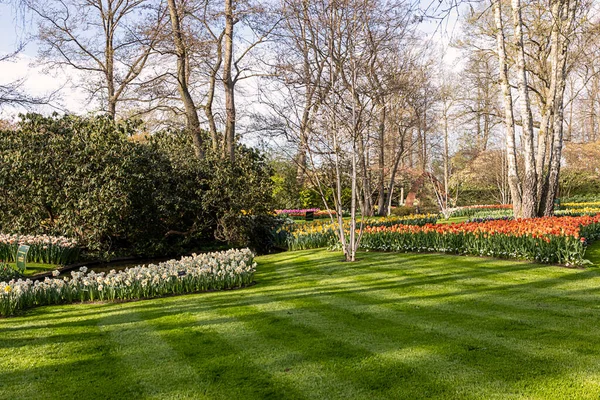 2022 네덜란드 아름다운 정원에 인기있는 — 스톡 사진