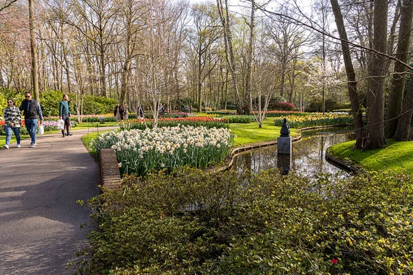 Dubna 2022 Lisse Nizozemsko Krásná Veřejná Zahrada Jarními Květy Kvetoucí — Stock fotografie