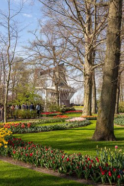 14 Nisan 2022 Lisse, Hollanda. Bahar çiçeklerinin açtığı güzel bir halk bahçesi. Popüler turizm sitesi.