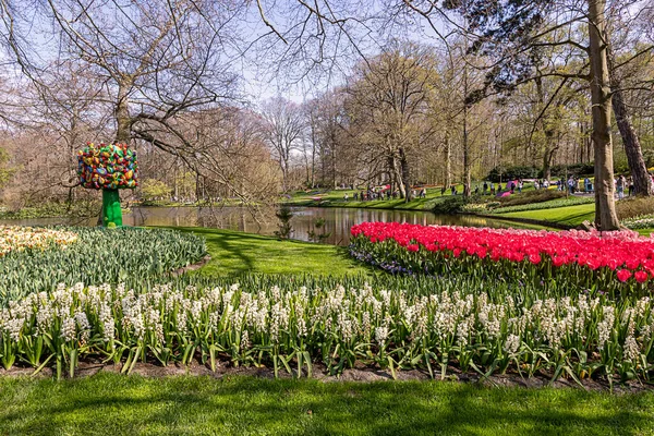 April 2022 Lisse Nederländerna Vacker Allmän Trädgård Med Vårblommor Blommar — Stockfoto