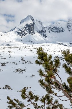 Tatra Dağları 'ndaki kış manzarası. Polonya 