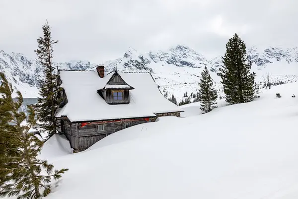 Tatra Dağları 'ndaki kış manzarası. Polonya