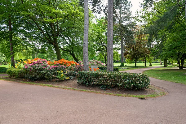 stock image Beautiful spring flowers in an English park in Wolverhampton