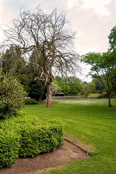May 2022 Wolverhampton England Beautiful Spring Landscape English Park — Stock Photo, Image