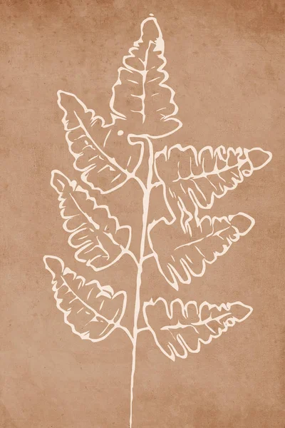 Печатная Модная Ботаническая Карта Используйте Обложки Обоев Настенного Искусства Коричневый — стоковое фото
