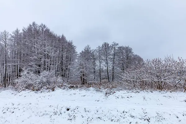 Stock image Winter landscape by the lake in November .