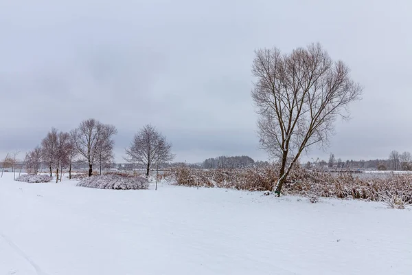 Зимний Пейзаж Морозный Ноябрьский День — стоковое фото